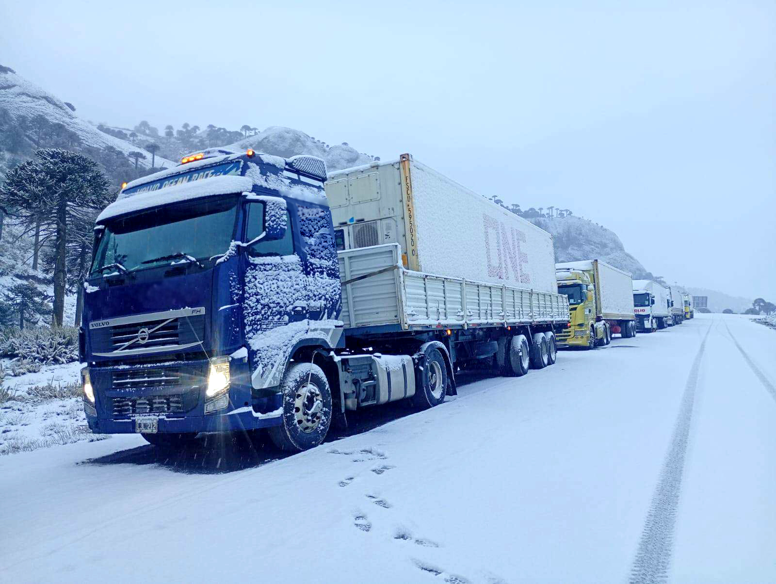 Camión refrigerado circulando por un paisaje de montaña nevada